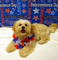 Macey July 10.jpg